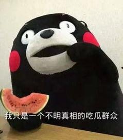 回复吃瓜表情的技巧,掌握表情技巧，轻松成为社交达人